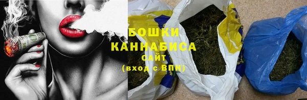 индика Осинники