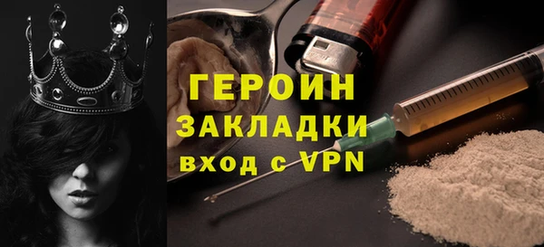 индика Осинники