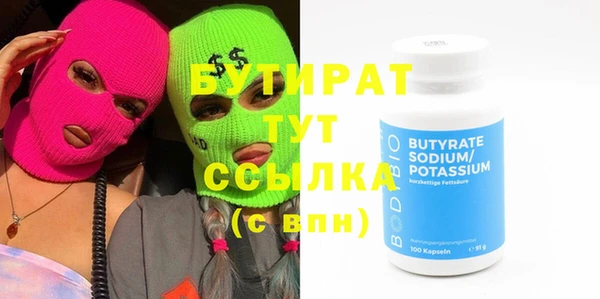 индика Осинники