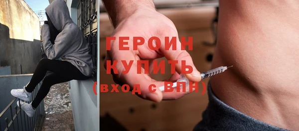 индика Осинники
