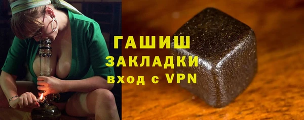 индика Осинники