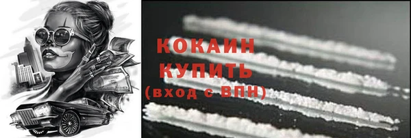индика Осинники