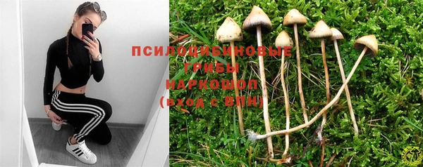 индика Осинники