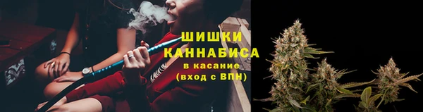 индика Осинники
