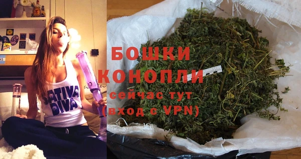 индика Осинники