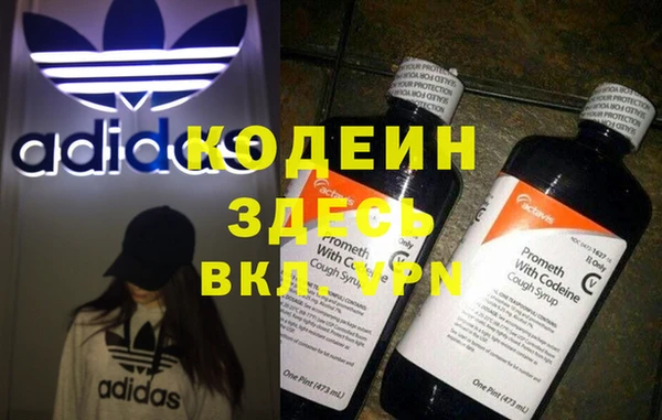 индика Осинники
