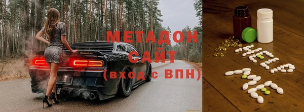 индика Осинники