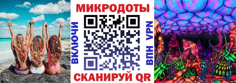 где можно купить Усть-Кут Псилоцибиновые грибы Cubensis